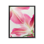 Pink Petals - Flower Photography, Botanical Framed Canvas Print Gallery Image 6