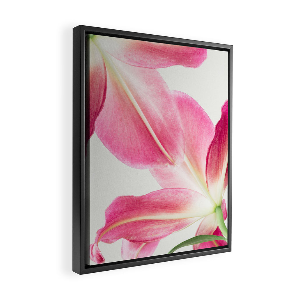 Pink Petals - Flower Photography, Botanical Framed Canvas Print Gallery Image 2
