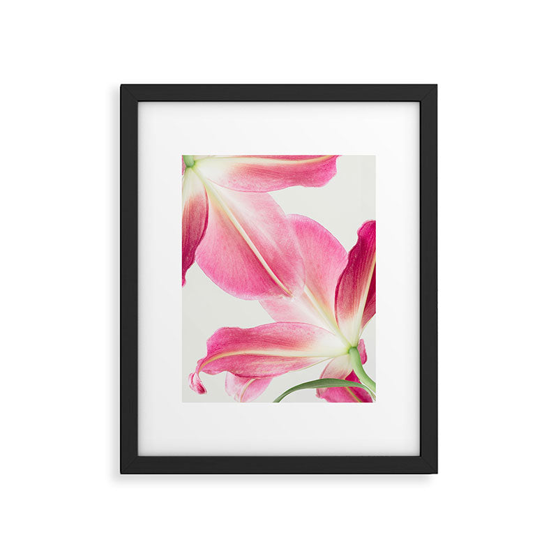 Pink Petals - Flower Photography, Botanical Framed Art Print Gallery Image 5