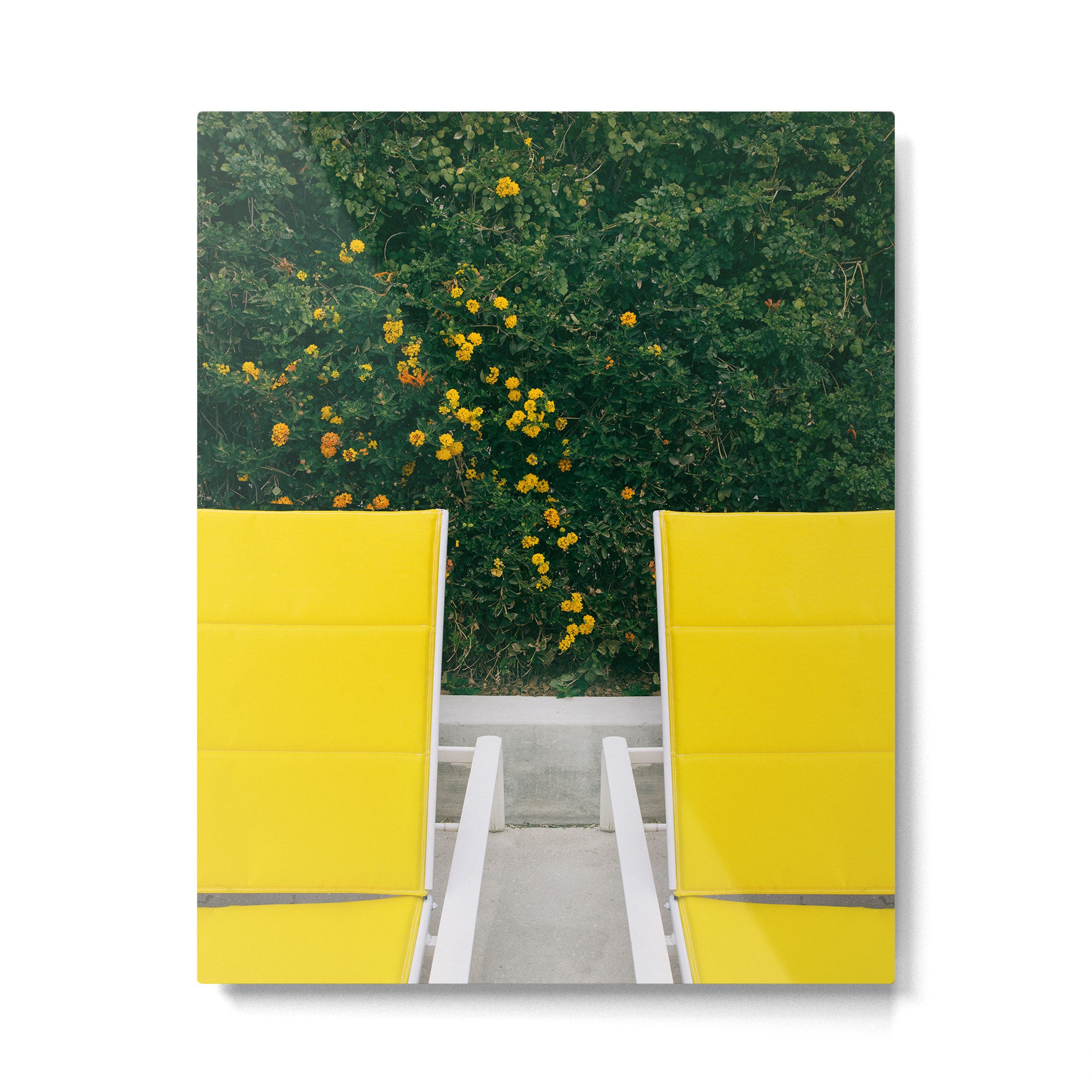 Poolside in Palm Springs Metal Print Gallery Image 4