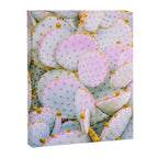 Prickly Pear Photography Pastel Cactus Canvas Print Gallery Image 6