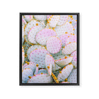 Prickly Pear Photography Pastel Cactus Framed Canvas Print Gallery Image 6