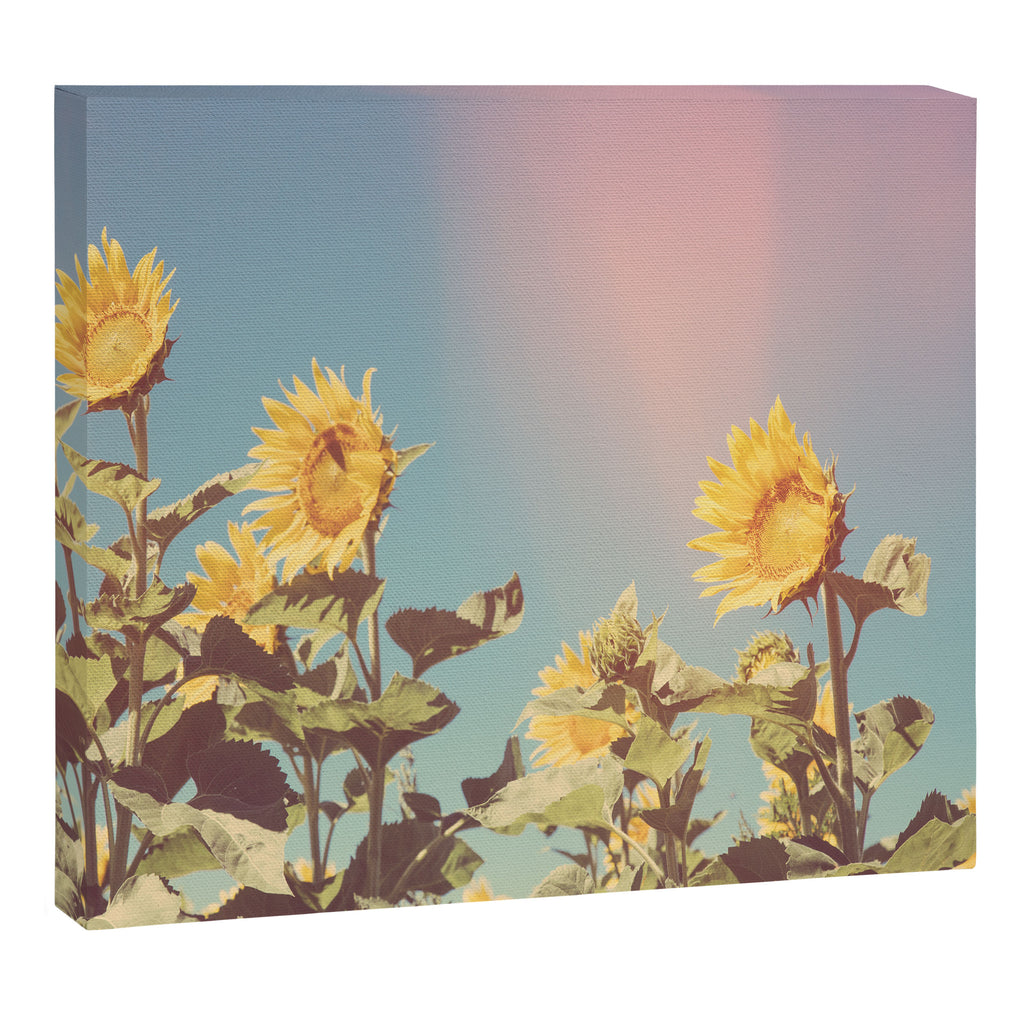 Retro Sunflowers - Nature Photography Canvas Print Gallery Image 12