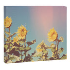 Retro Sunflowers - Nature Photography Canvas Print Gallery Image 12