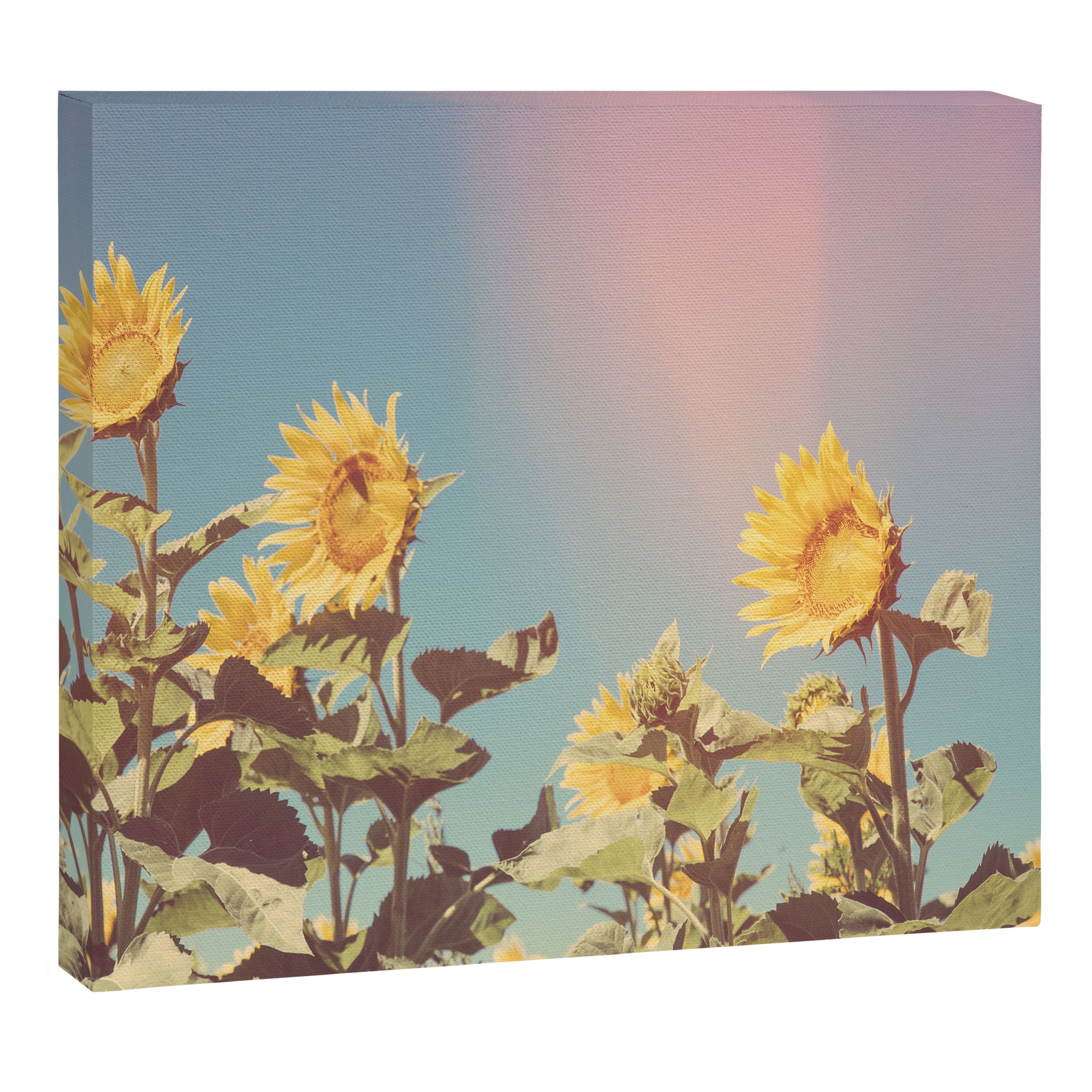Retro Sunflowers - Nature Photography Canvas Print Gallery Image 12
