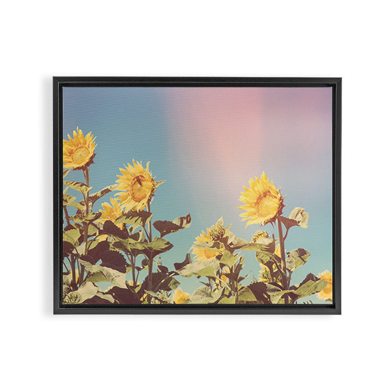 Retro Sunflowers - Nature Photography Framed Canvas Print Gallery Image 12