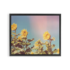 Retro Sunflowers - Nature Photography Framed Canvas Print Gallery Image 12