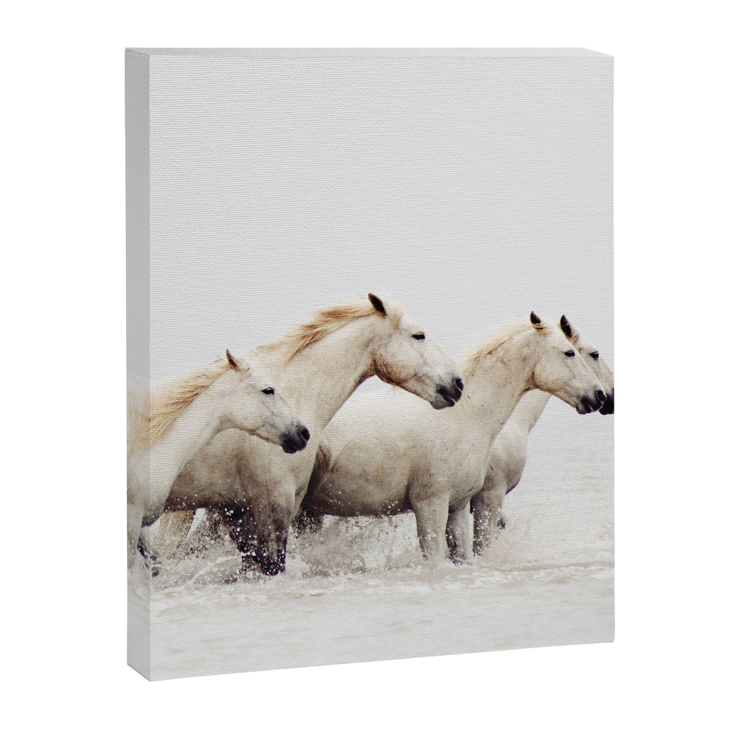 Sea Horses Canvas Print Gallery Image 6