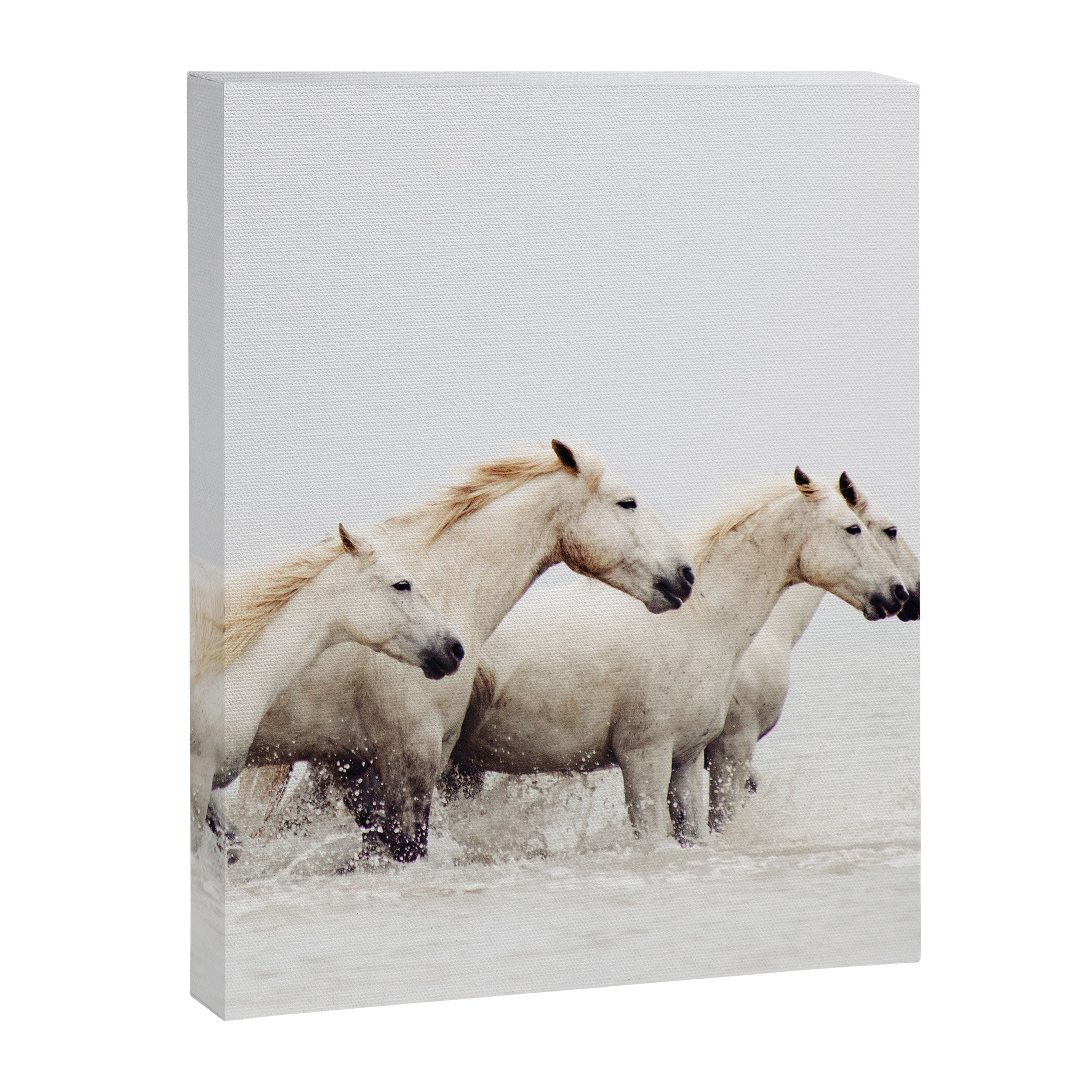 Sea Horses Canvas Print Gallery Image 6