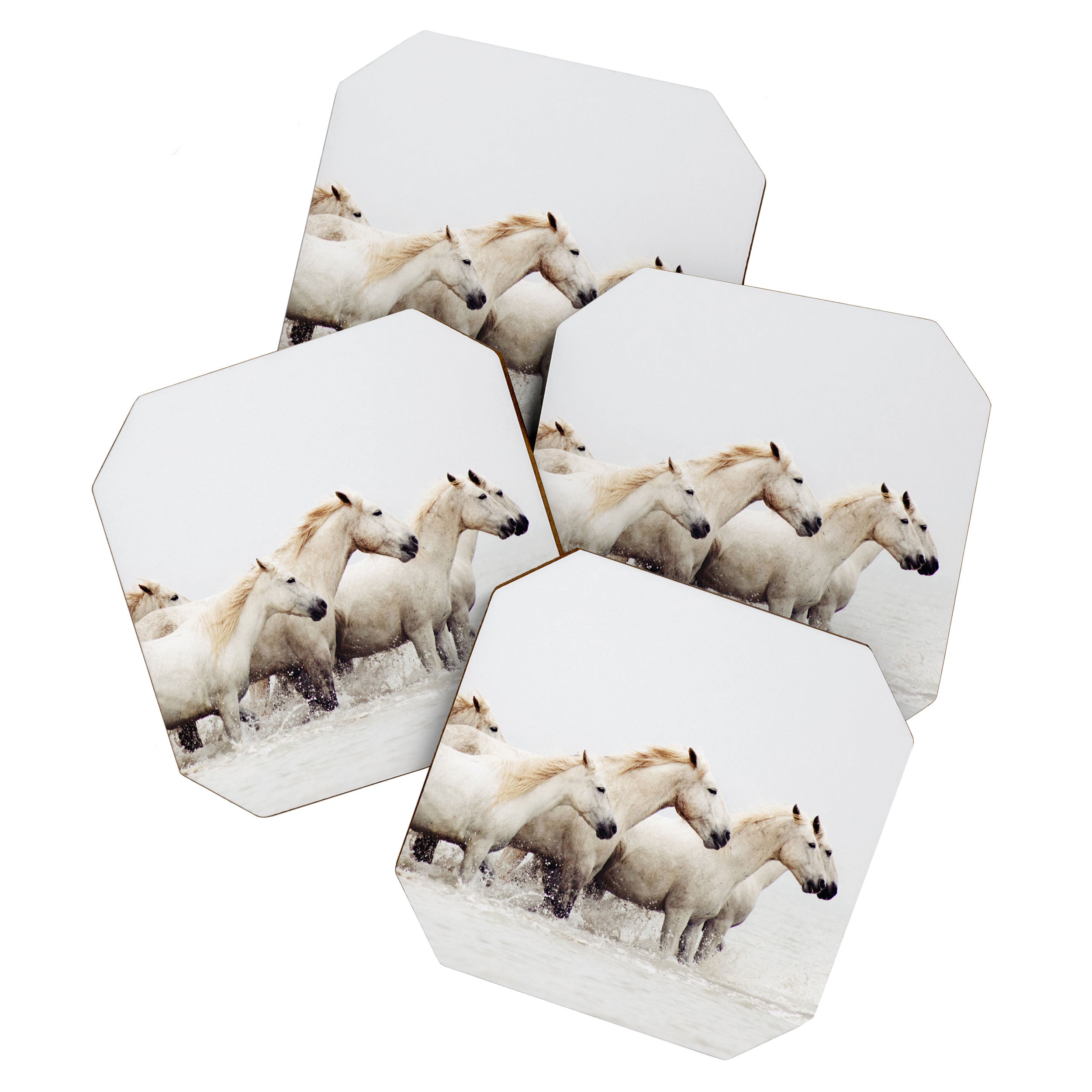Sea Horses Coaster Gallery Image 1