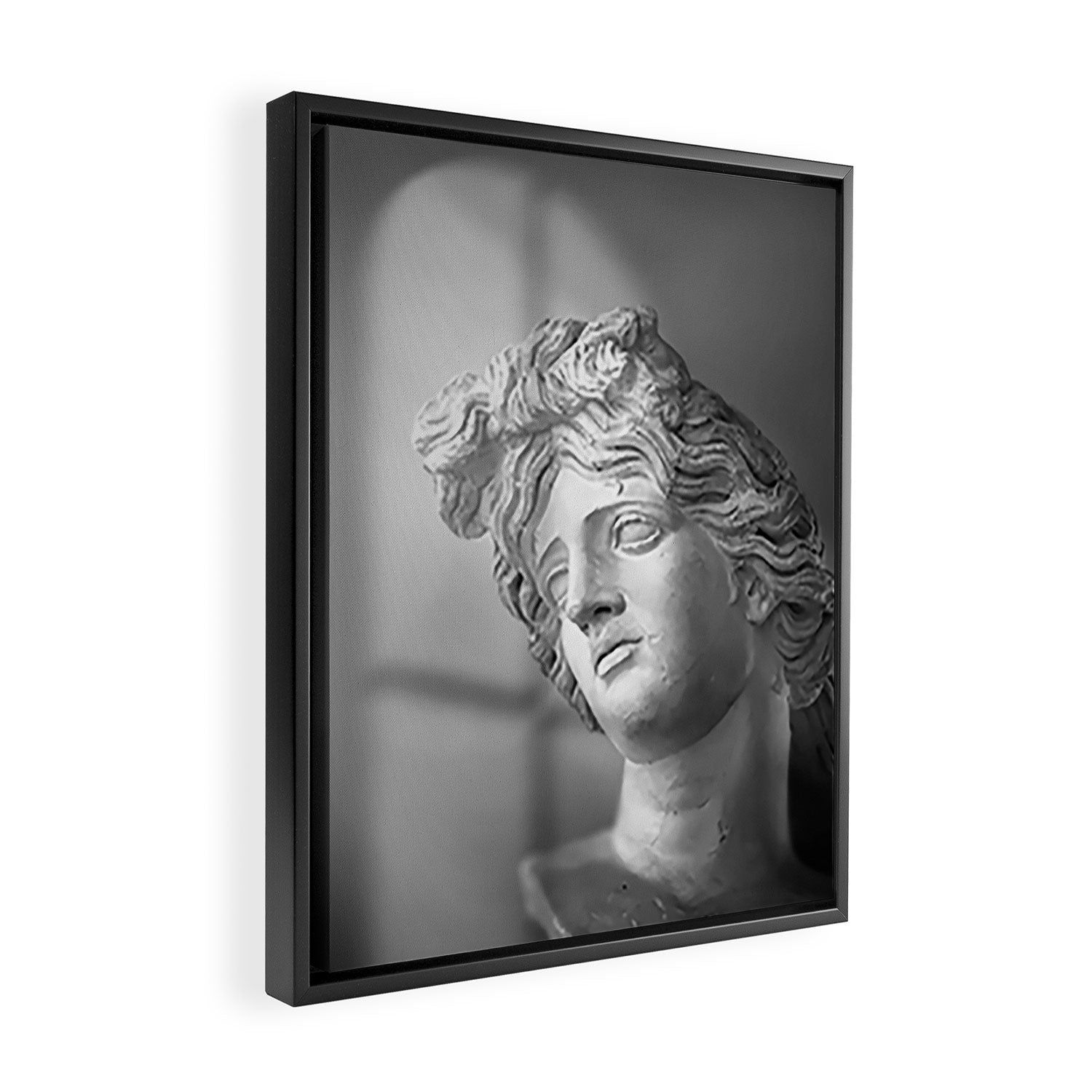Shadow Figure I Framed Canvas Print Gallery Image 2