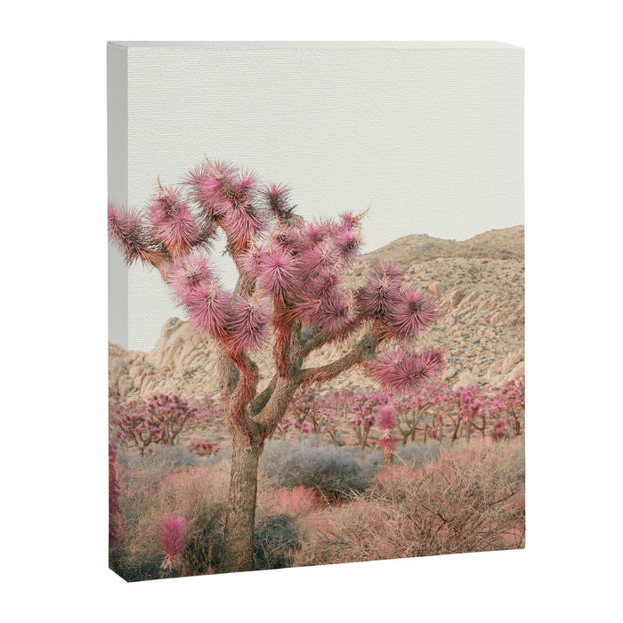 Surreal Desert #2 - Joshua Tree Nature Photography Canvas Print Gallery Image 1