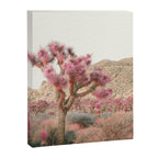 Surreal Desert #2 - Joshua Tree Nature Photography Canvas Print Gallery Image 6