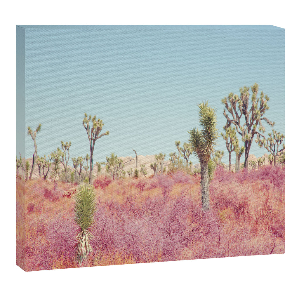 Surreal Pink Desert - Joshua Tree Landscape Photography Canvas Print Gallery Image 6