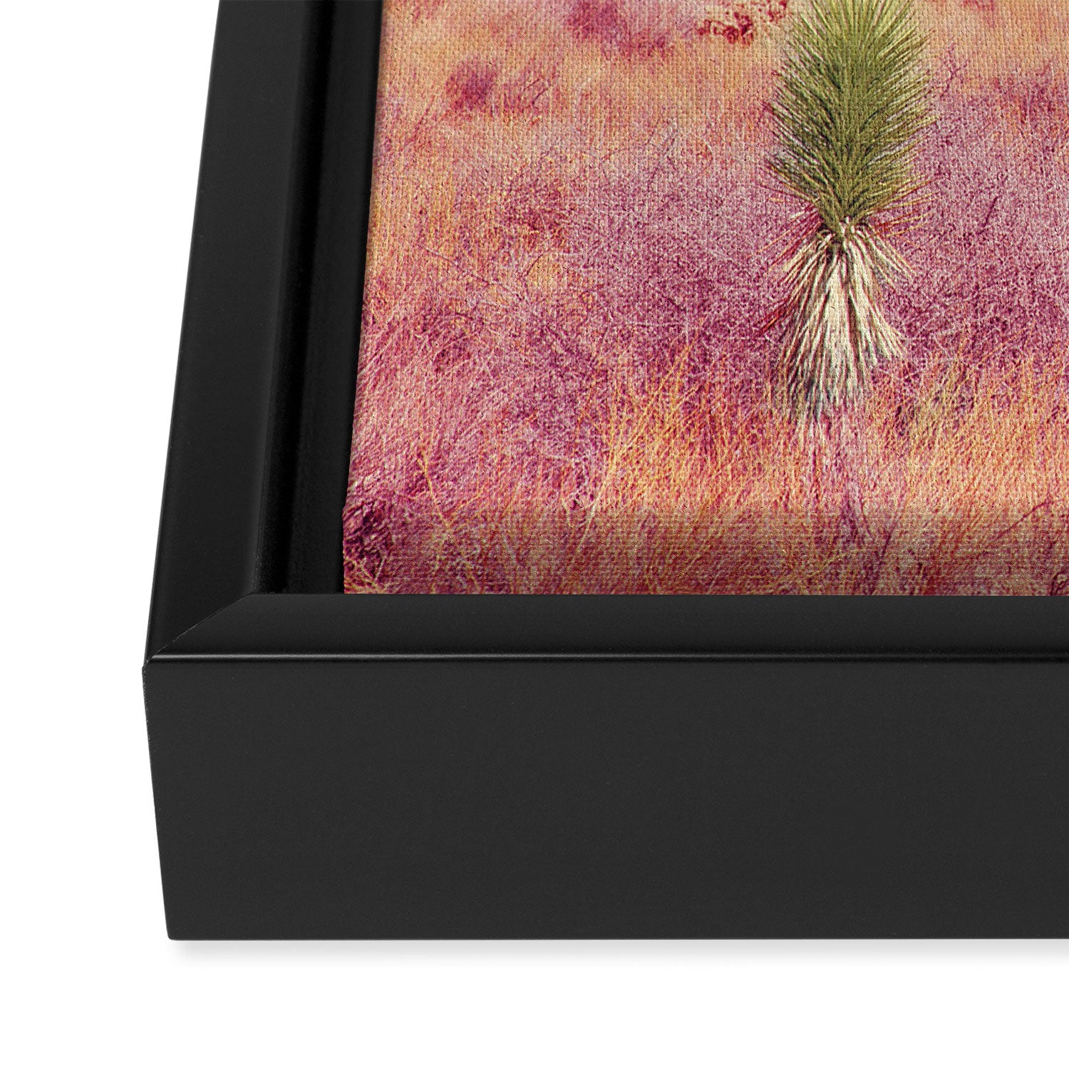 Surreal Pink Desert - Joshua Tree Landscape Photography Framed Canvas Print Gallery Image 3