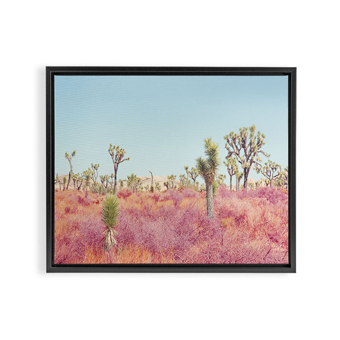 Surreal Pink Desert - Joshua Tree Landscape Photography Framed Canvas Print Gallery Image 1