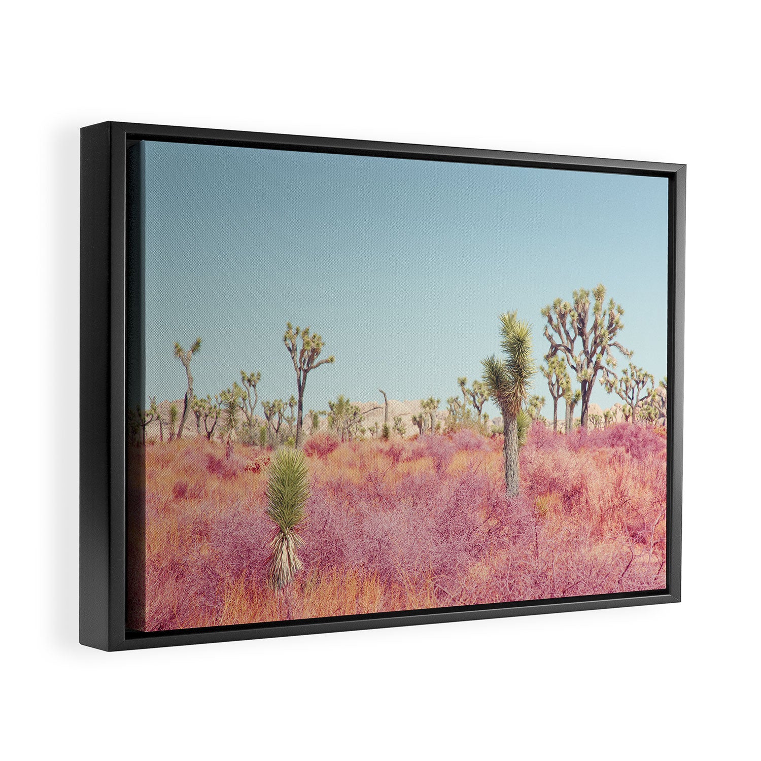 Surreal Pink Desert - Joshua Tree Landscape Photography Framed Canvas Print Gallery Image 2