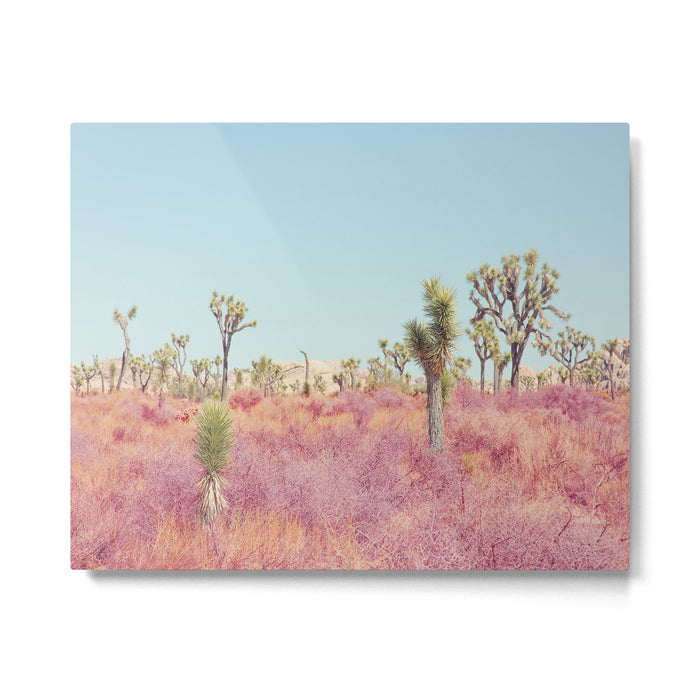 Surreal Pink Desert - Joshua Tree Landscape Photography Metal Print Gallery Image 1