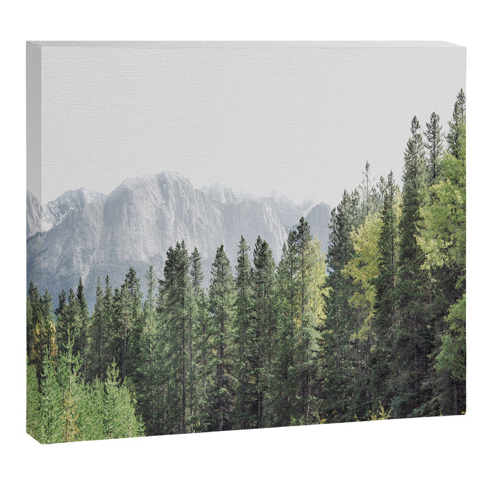 Treeline - Nature and Landscape Photography Canvas Print Gallery Image 1