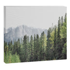Treeline - Nature and Landscape Photography Canvas Print Gallery Image 6