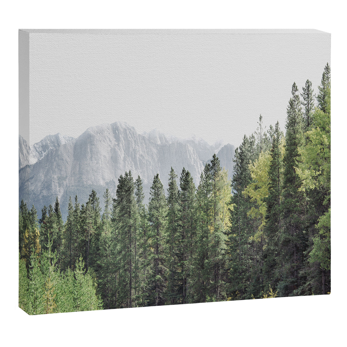 Treeline - Nature and Landscape Photography Canvas Print Gallery Image 6