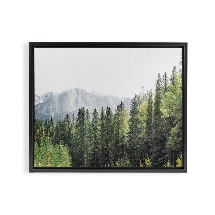 Treeline - Nature and Landscape Photography Framed Canvas Print Gallery Image 1