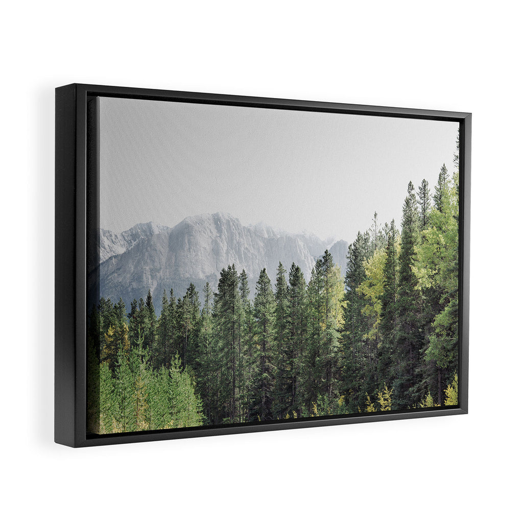 Treeline - Nature and Landscape Photography Framed Canvas Print Gallery Image 2