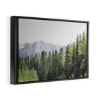 Treeline - Nature and Landscape Photography Framed Canvas Print Gallery Image 2