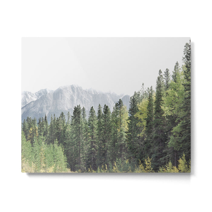 Treeline - Nature and Landscape Photography Metal Print Gallery Image 1