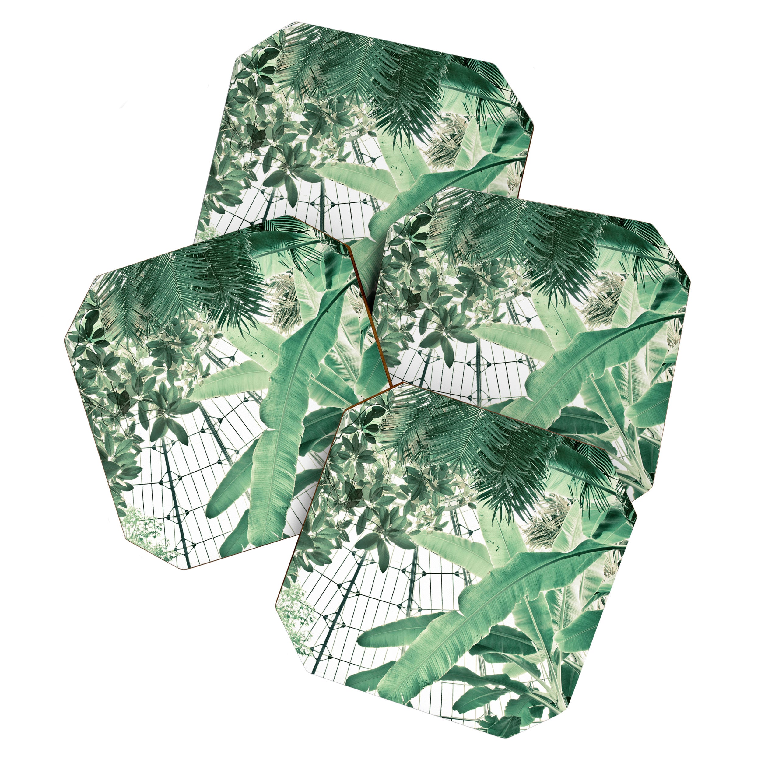Tropical Greenhouse #2 Coaster Gallery Image 1