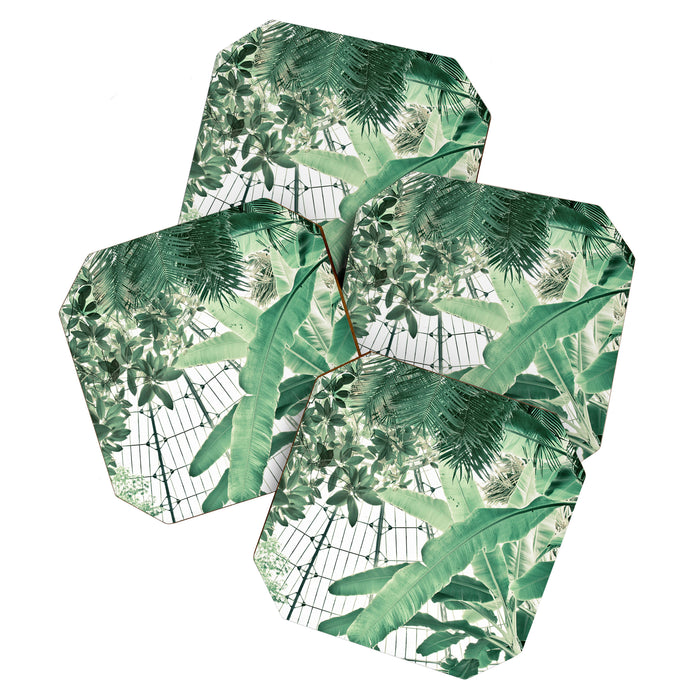 Tropical Greenhouse #2 Coaster Gallery Image 1