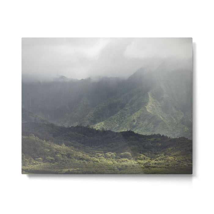 Tropical Mist Metal Print Gallery Image 1