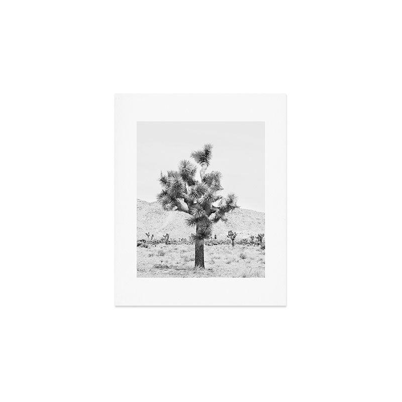 Twisted Joshua Tree - Black and White Photography Art Print Gallery Image 1
