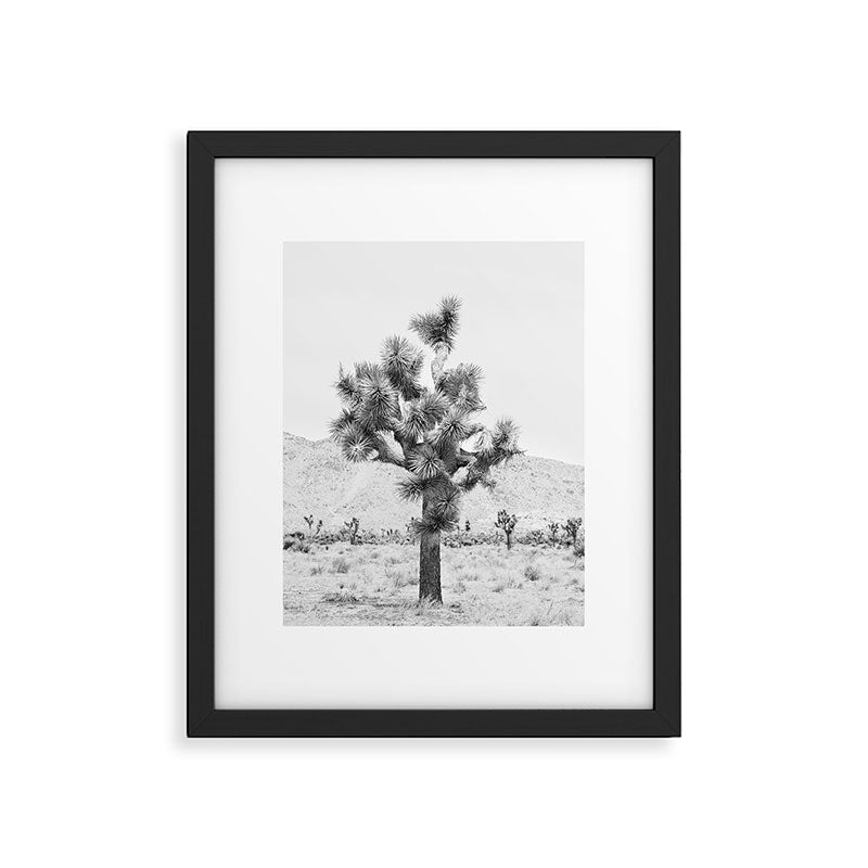 Twisted Joshua Tree - Black and White Photography Framed Art Print Gallery Image 5