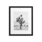 Twisted Joshua Tree - Black and White Photography Framed Art Print Gallery Image 5