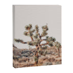 Twisted Joshua Tree, Desert Art Print, Landscape Photography Canvas Print Gallery Image 8