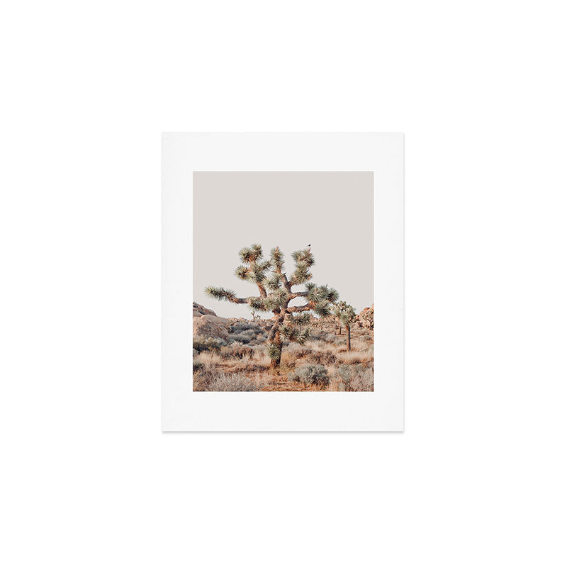 Twisted Joshua Tree, Desert Art Print, Landscape Photography Art Print Gallery Image 1