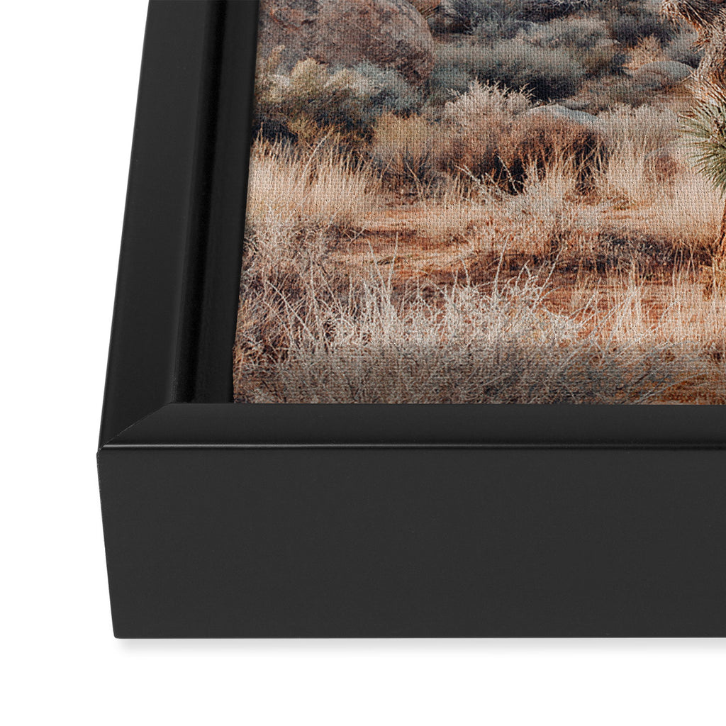 Twisted Joshua Tree, Desert Art Print, Landscape Photography Framed Canvas Print Gallery Image 3