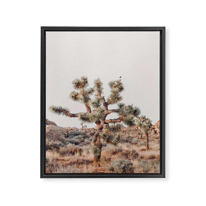 Twisted Joshua Tree, Desert Art Print, Landscape Photography Framed Canvas Print Gallery Image 1