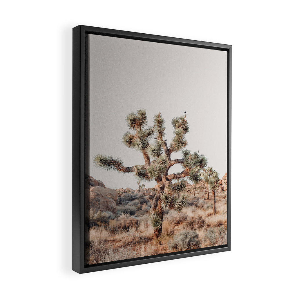Twisted Joshua Tree, Desert Art Print, Landscape Photography Framed Canvas Print Gallery Image 2
