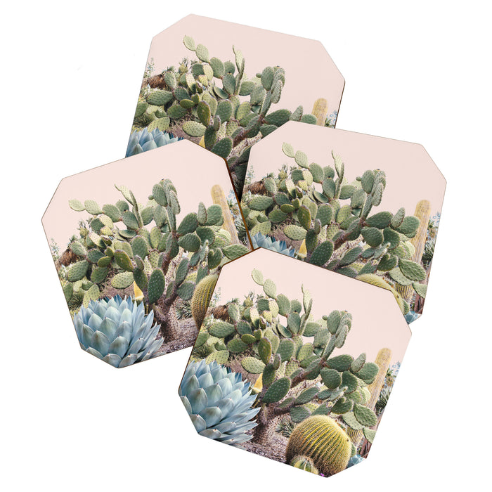 Vintage Desert Cactus Garden Coaster Gallery Image 1