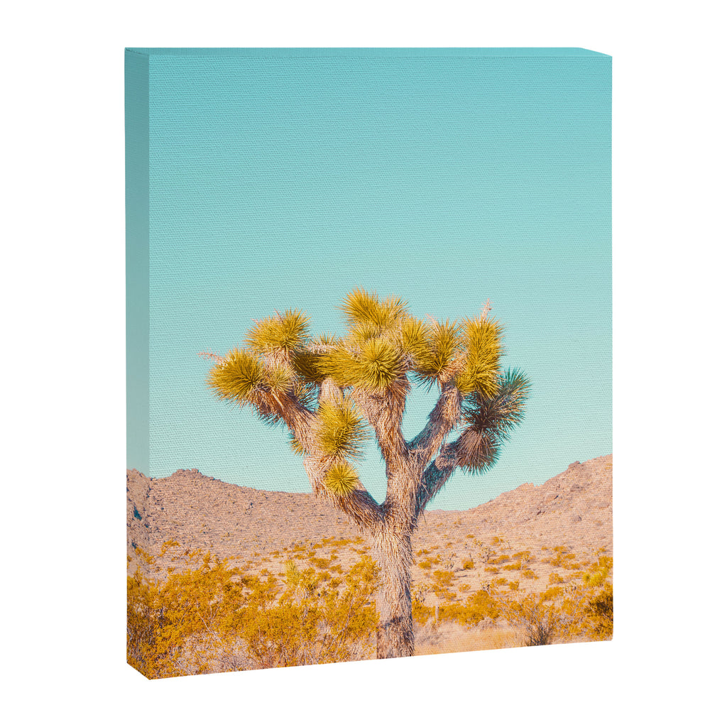 Vivid Desert - Joshua Tree Cactus Canvas Print Gallery Image 8