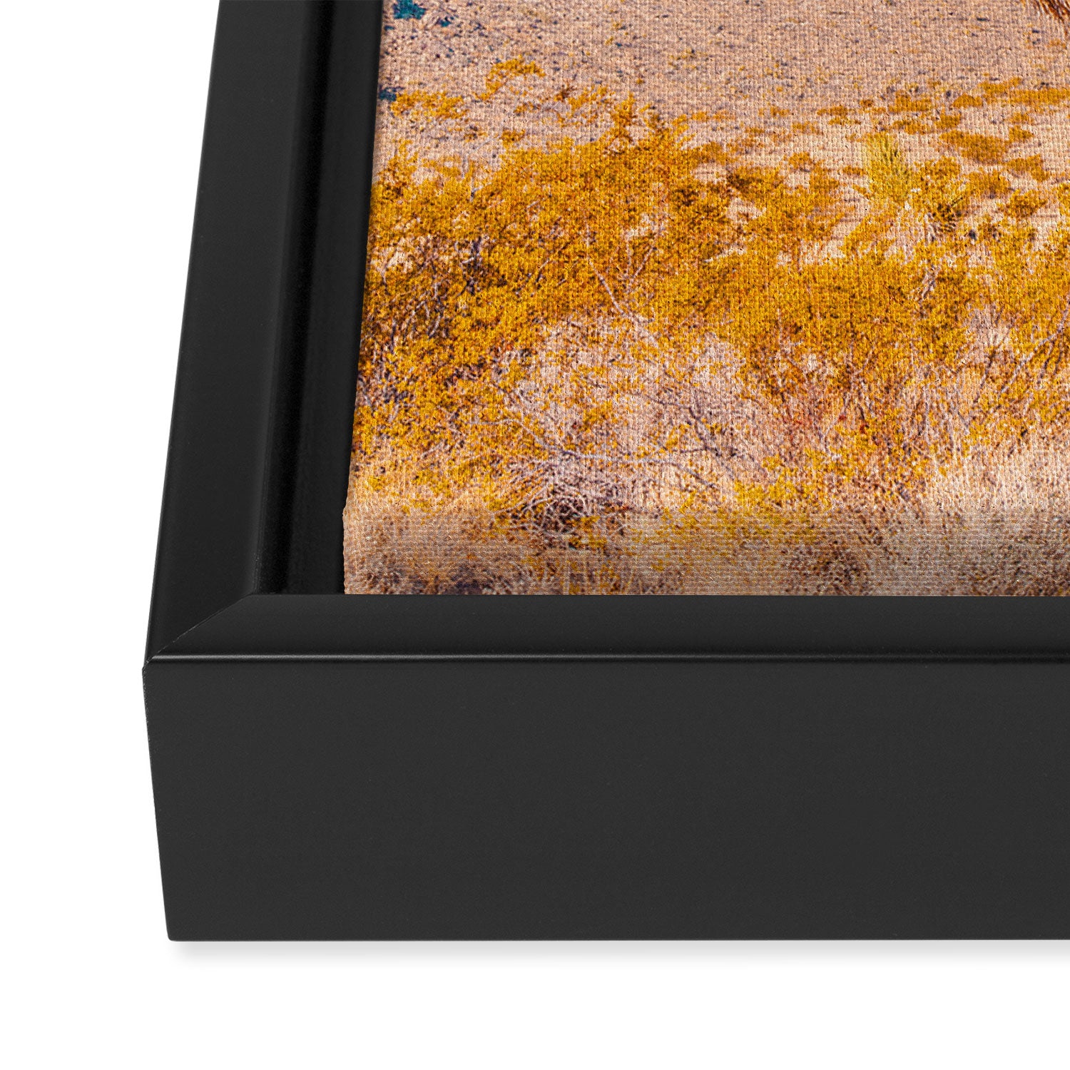 Vivid Desert - Joshua Tree Cactus Framed Canvas Print Gallery Image 3