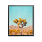 Vivid Desert - Joshua Tree Cactus Framed Canvas Print Gallery Image 8