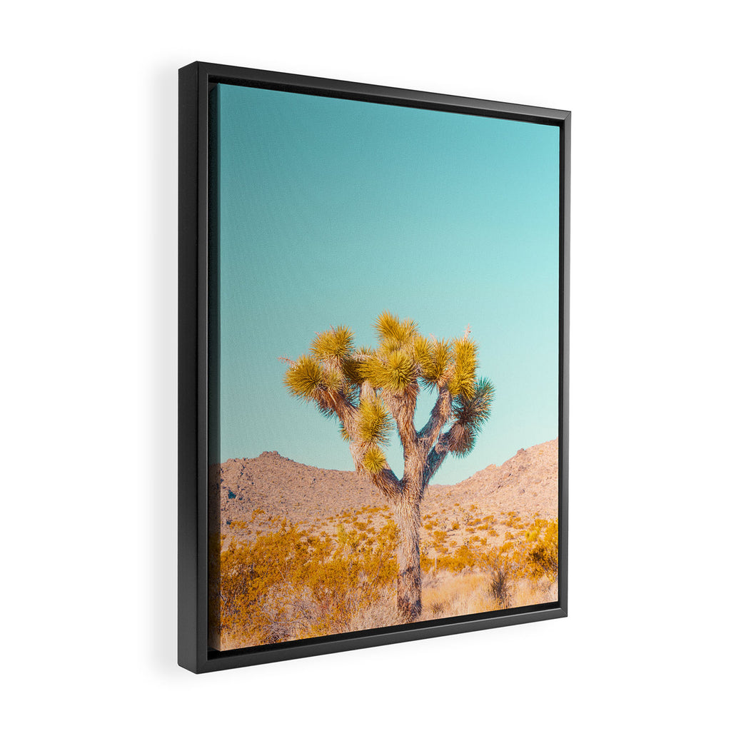 Vivid Desert - Joshua Tree Cactus Framed Canvas Print Gallery Image 2