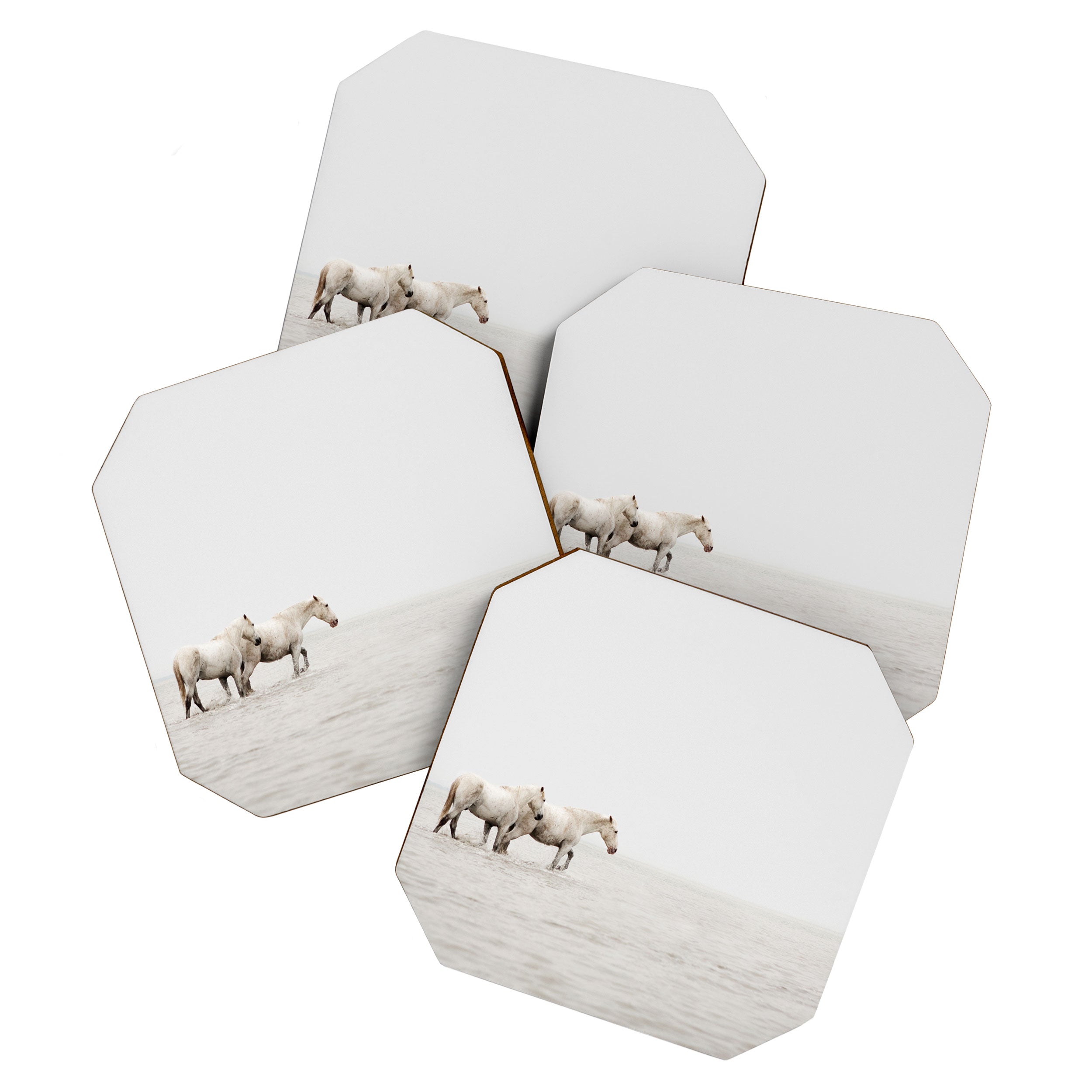 White Camargue Horses - Minimalist Nature Photography Coaster Gallery Image 1
