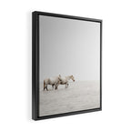 White Camargue Horses - Minimalist Nature Photography Framed Canvas Print Gallery Image 2
