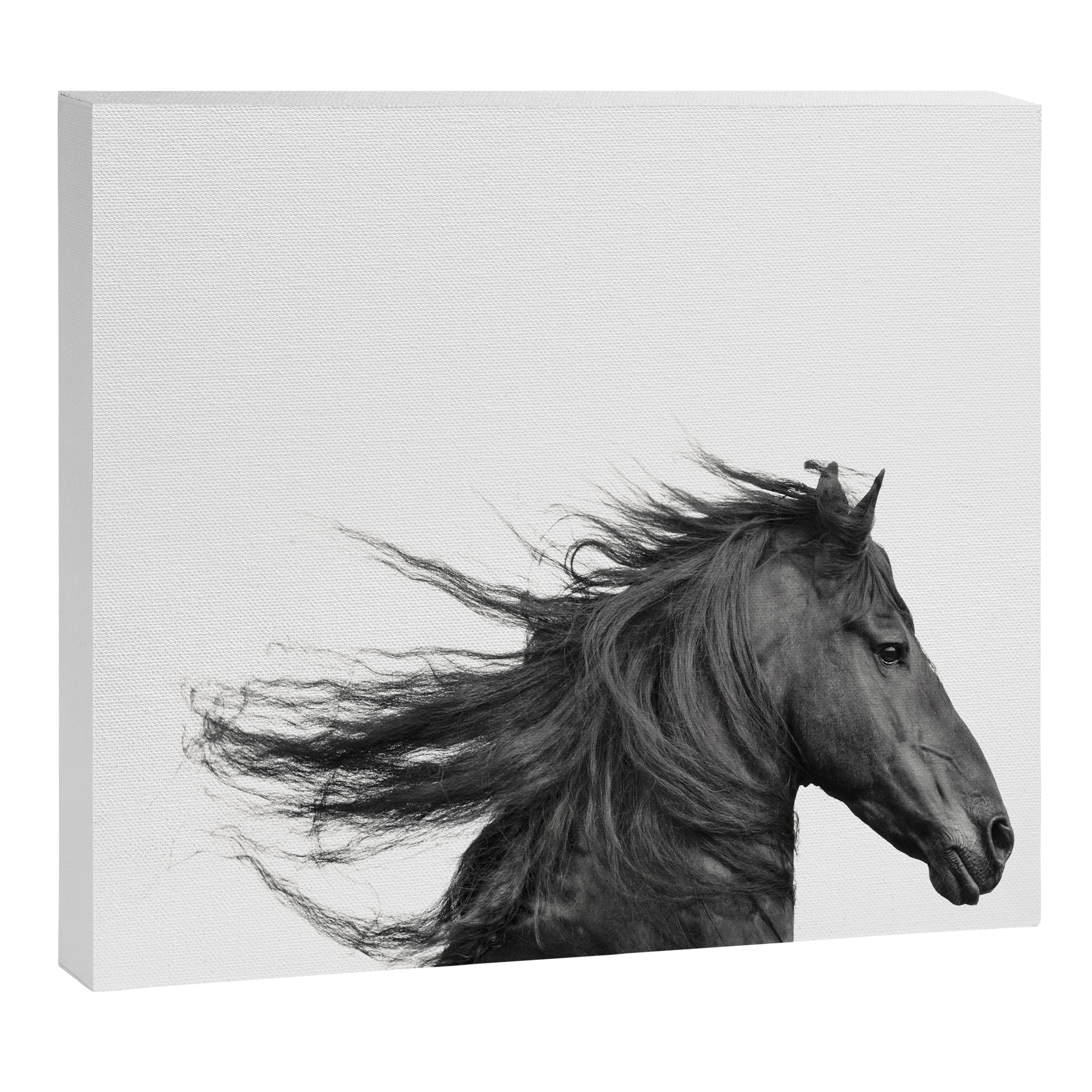 Wild Horse, Black and White Photography Canvas Print Gallery Image 6