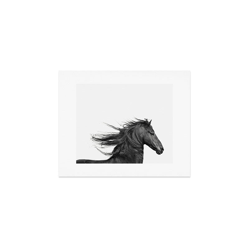 Wild Horse, Black and White Photography Art Print Gallery Image 1