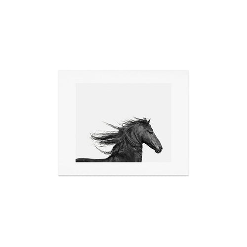 Wild Horse, Black And White Photography Art Print Gallery Image 1